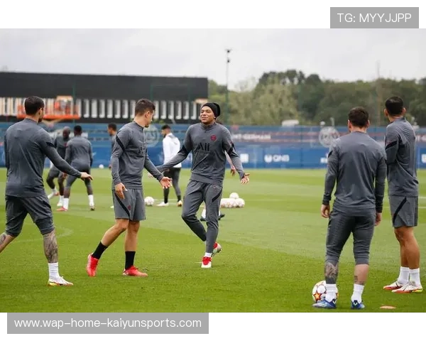 巴黎快速传递训练更顺畅——开启你的高效沟通新篇章